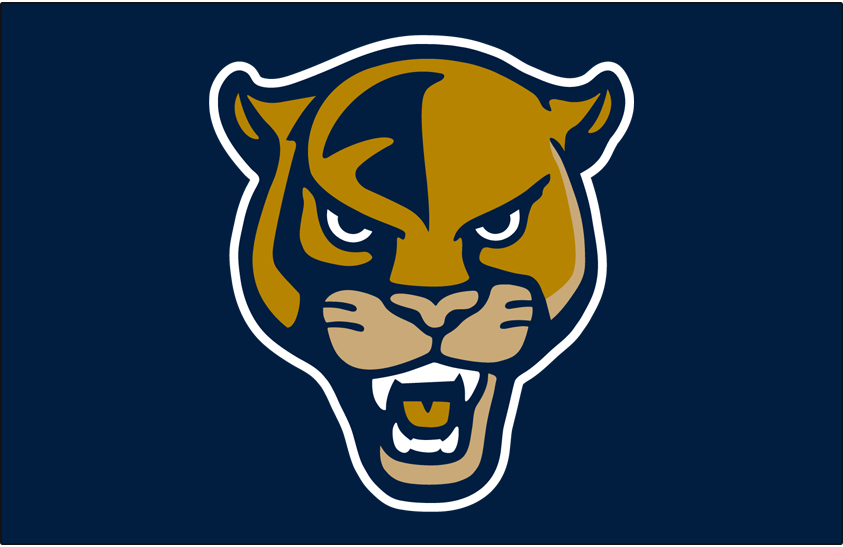 FIU Panthers 2020-Pres Helmet Logo diy iron on heat transfer